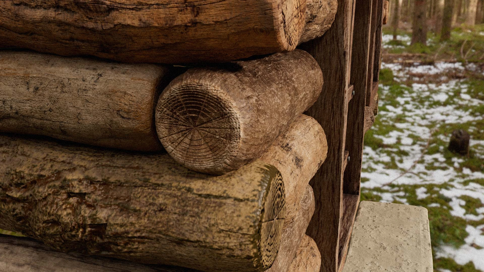 The Wooden House — Work showcase 10